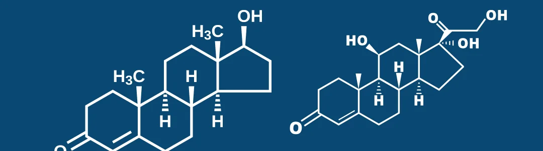 Title image for Can the Testosterone:Cortisol Ratio be a Predictor of Rowing Performance?