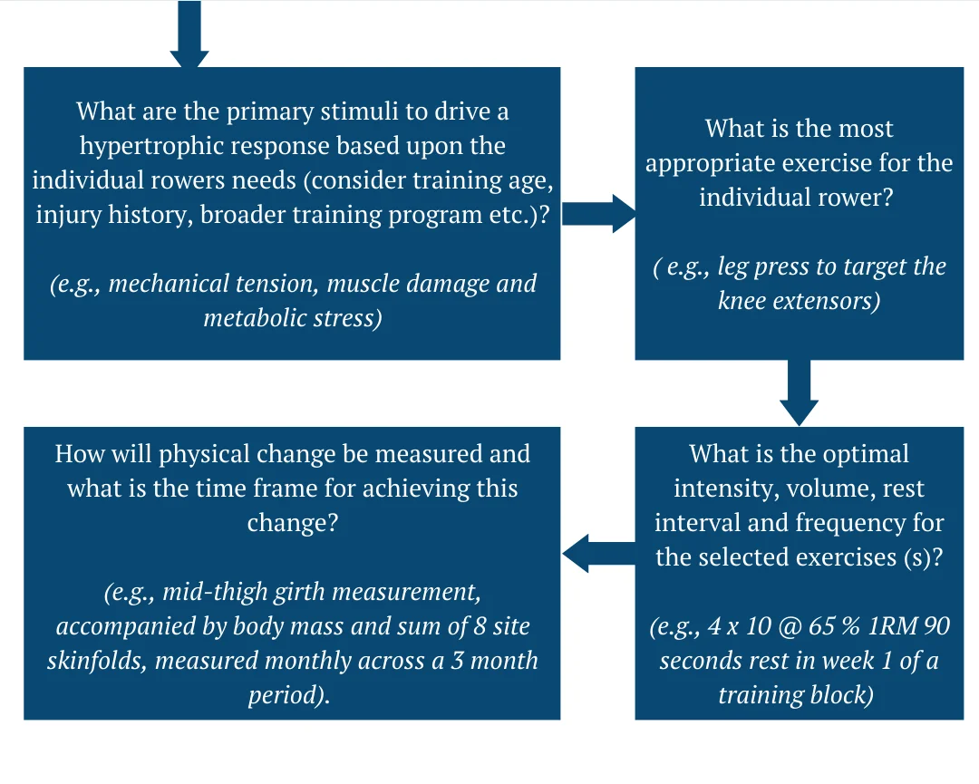 Title image for Hypertrophy Training For Rowers