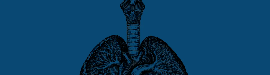 Title image for Inspiratory Muscle Training Improves 2,000-Meter Rowing Performance