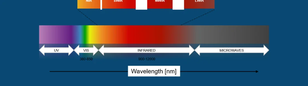 Title image for Is NIRS Deoxygenated Hemoglobin Associated with the Anaerobic Threshold and Rowing Performance?