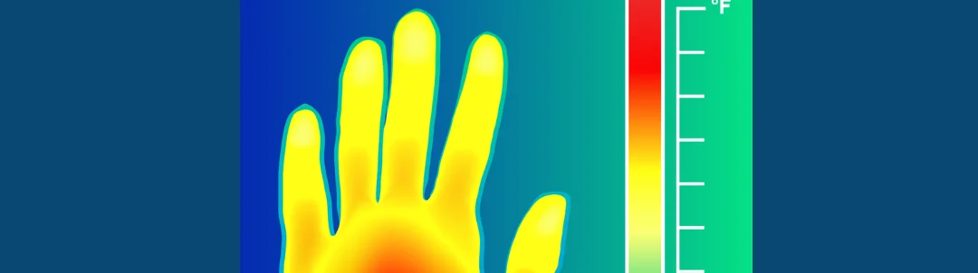 Title image for Maintaining Body Temperature To Improve Rowing Performance