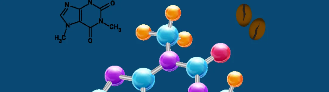 Title image for The Effects of Caffeine on Rowing Performance