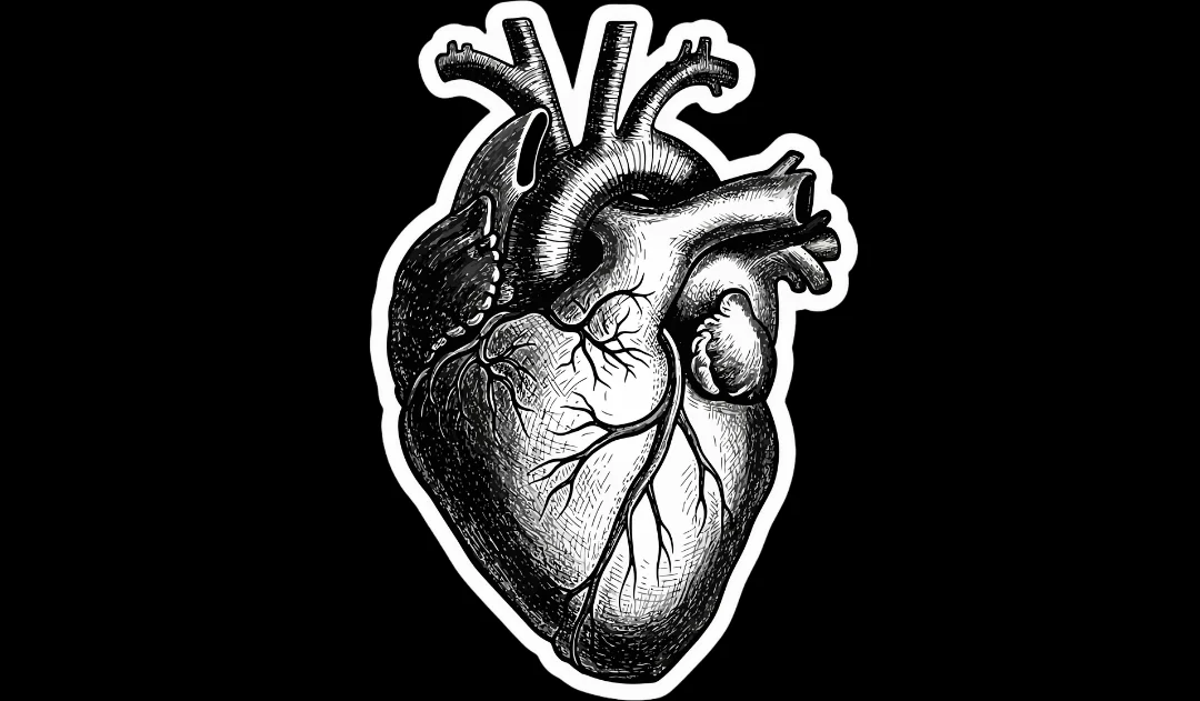 Title image for The Impact of Atrial Fibrillation in Retired World-Class Rowers