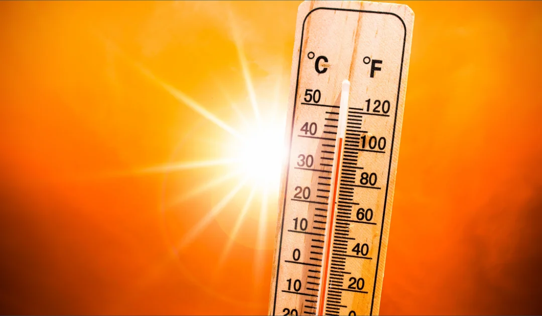 Title image for The Impact of Heat Stress on Rowing Performance and Cardiovascular Responses