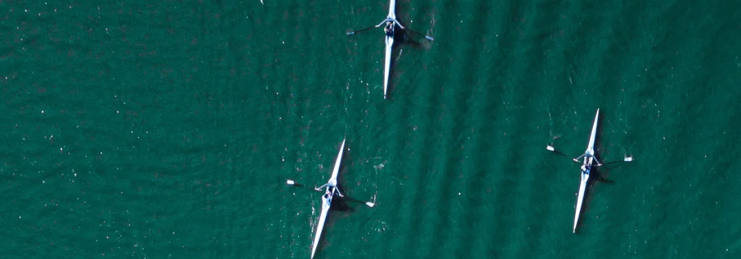 Title image for What Makes the Boat Go Fast: The Role of Technique and Muscle Activation in Sculling Performance